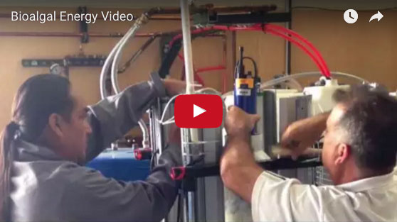 Bioalgal Video Thumbnail