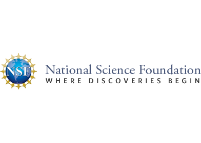 NSF Webinar Logo