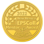 Mentor award medal 