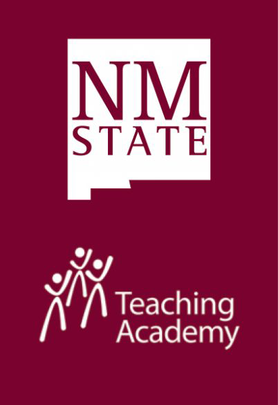 NMSY Teaching Academy Logo