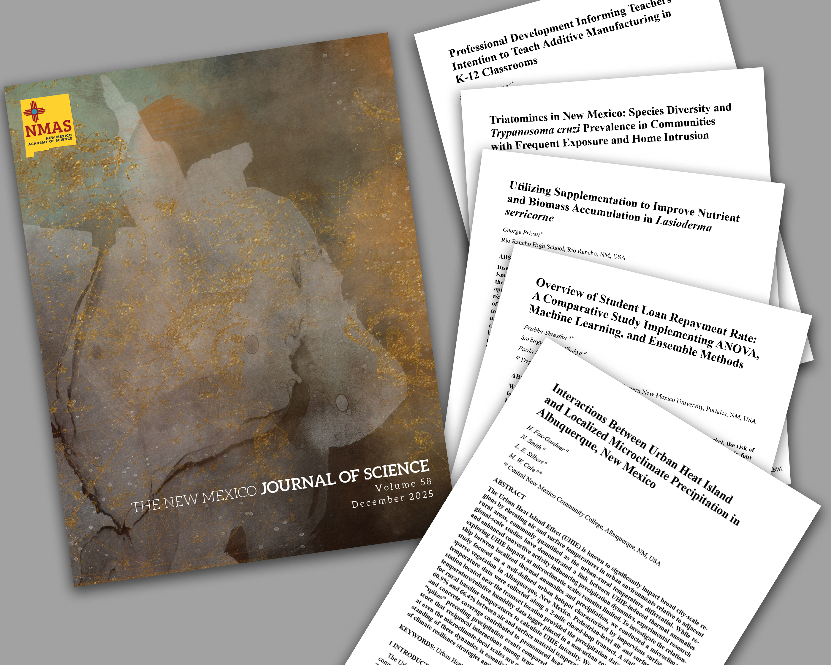 image of NMJS 2025 cover and next to splayed out article title pages