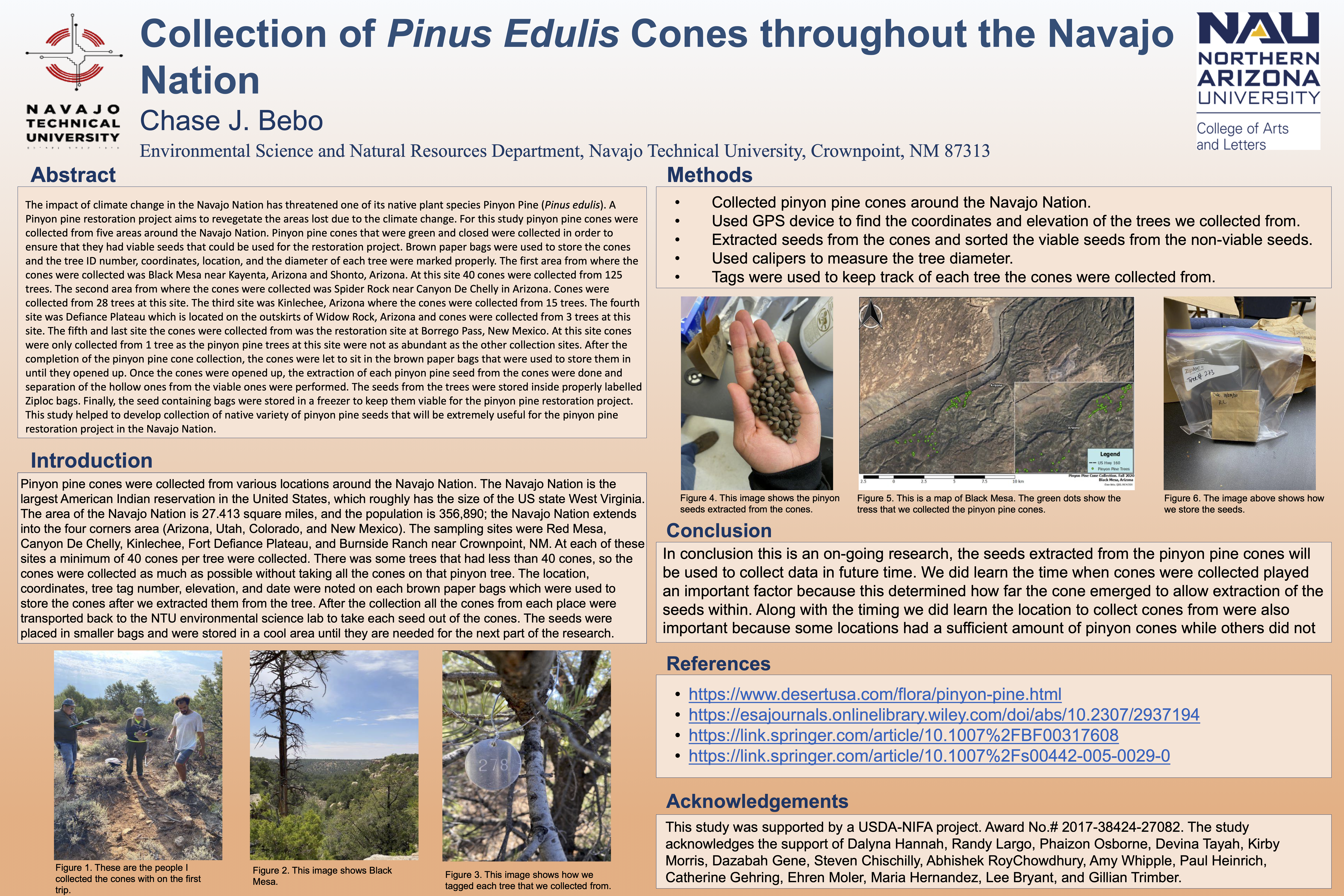 nmrs research poster session 2020