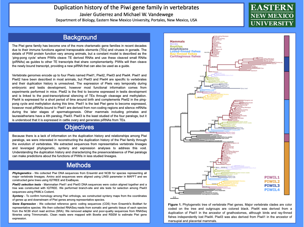 nmrs research poster session 2020
