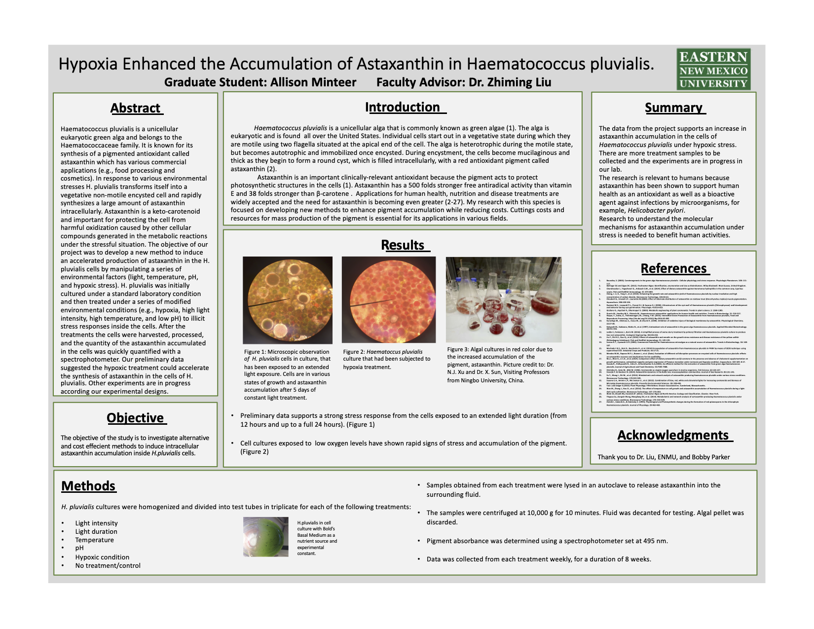 nmrs research poster session 2020