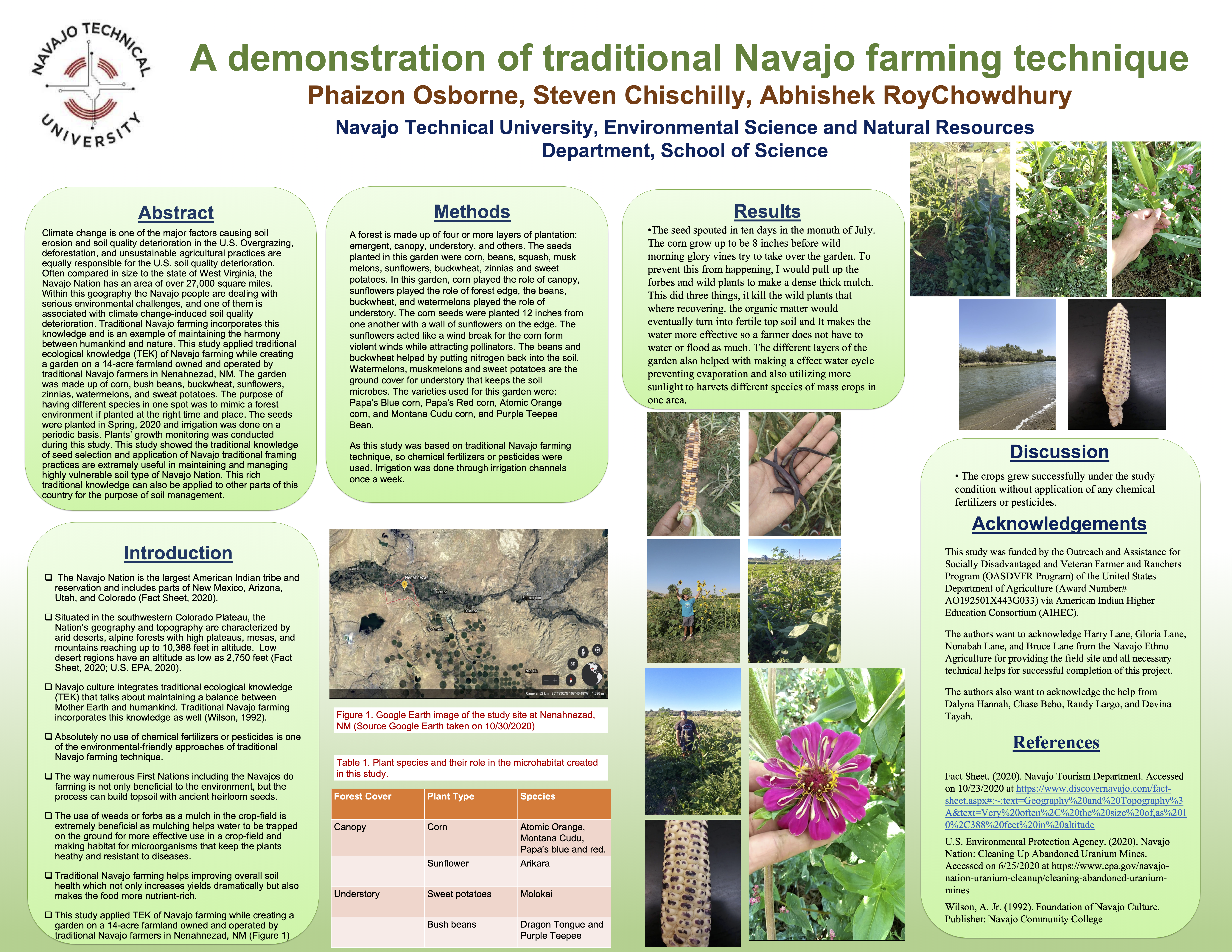 nmrs research poster session 2020