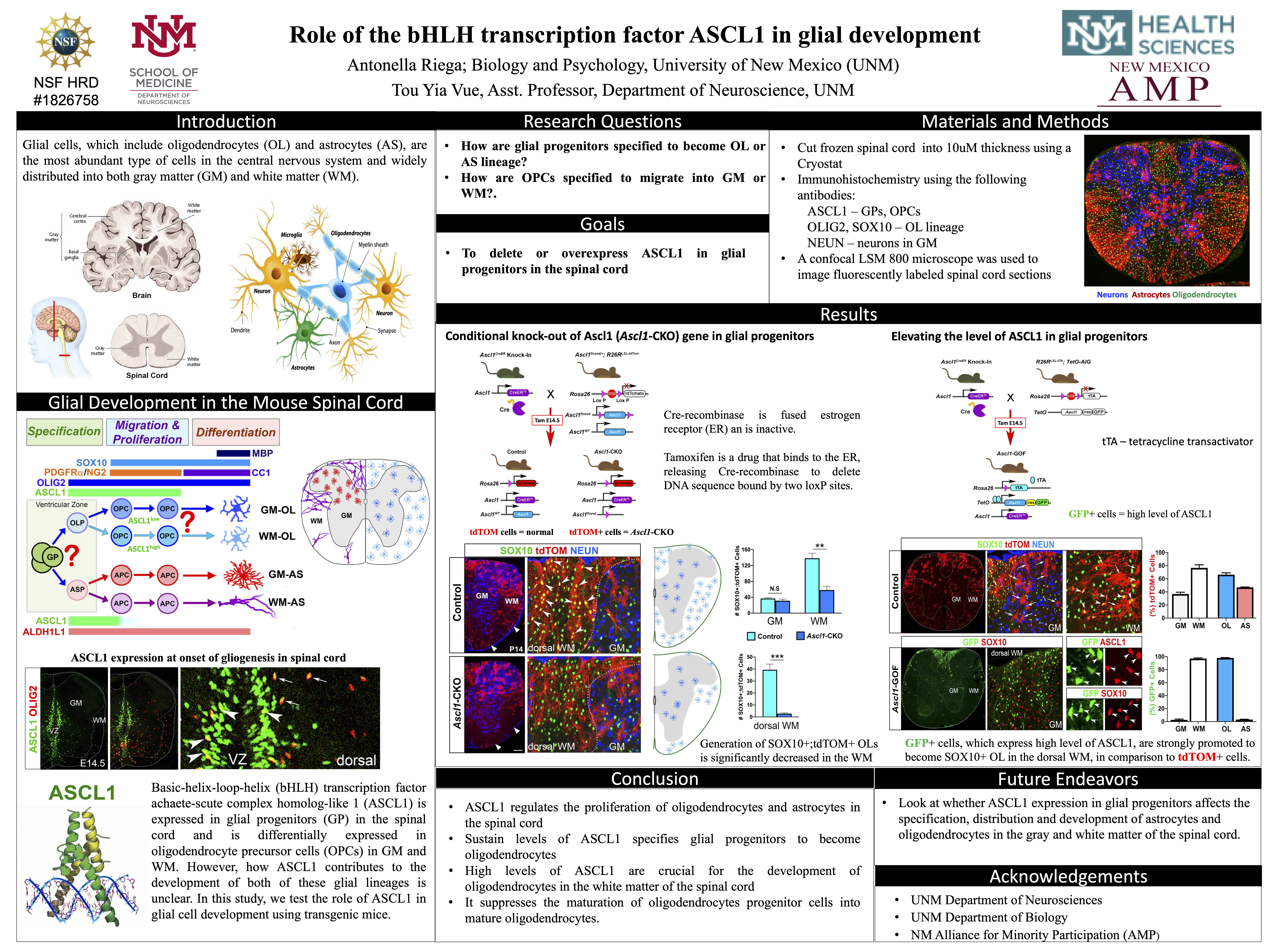 nmrs research poster session 2020